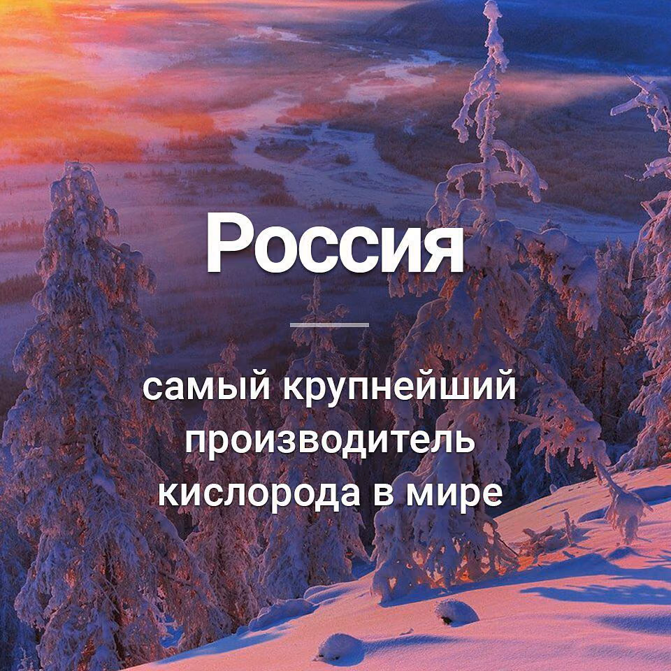 fde0f51782972214edaeb6ff194b5d29.jpg