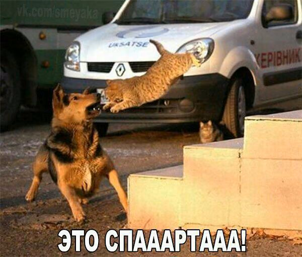 fde31bffd7b748e496ead3468d0be388.avif