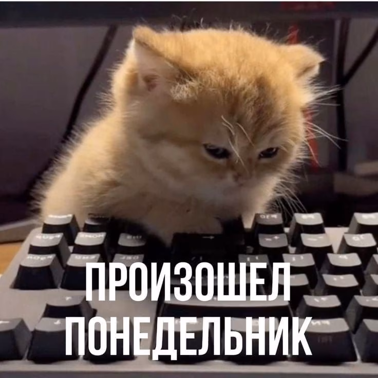 fde4a4aeebf1e215008d3496f3aa1224.jpg