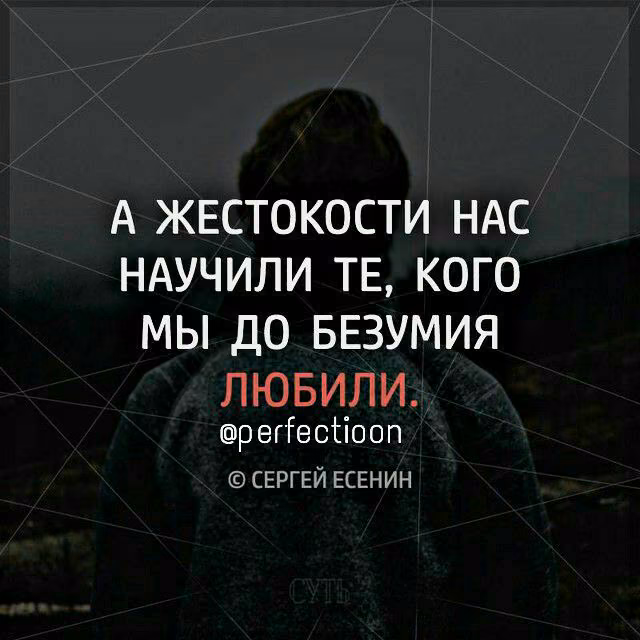 fdecbc3dd4da1a43d615b737ad253e34.jpg