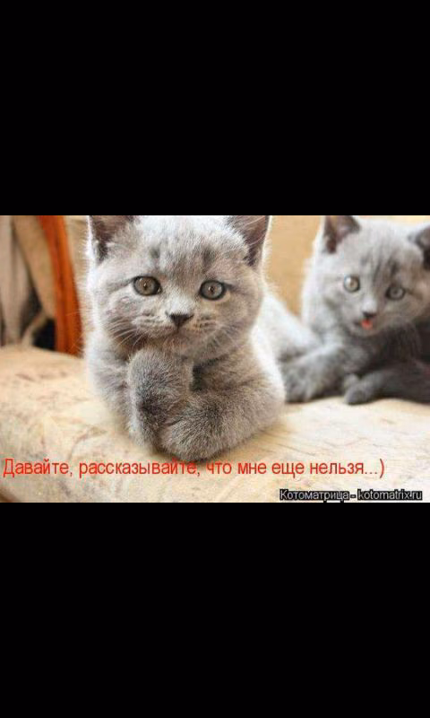 fe0425547d7b019f704676e5a92eeb69.avif