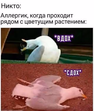 0f5b4db485a85dd0aeed9d379d74e54d.jpg
