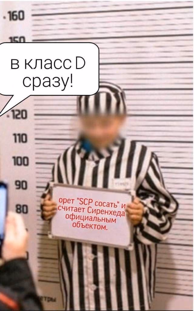 fe2bc0d0769f9a58f039d3bc2f6edd4b.avif