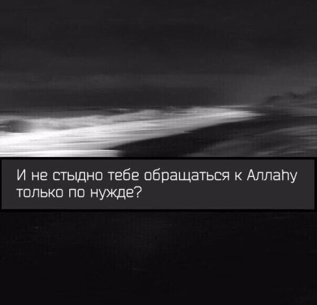 fe377fd2e138c452499b2a83c19ee5d4.avif