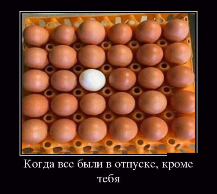 fe37f72a133e596fc5d48fe180949991.jpg