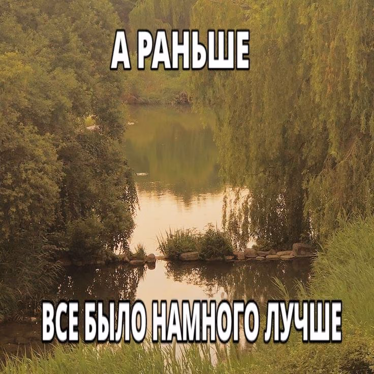 fe3eb315412b89fb15e43e8ed28c0917.jpg