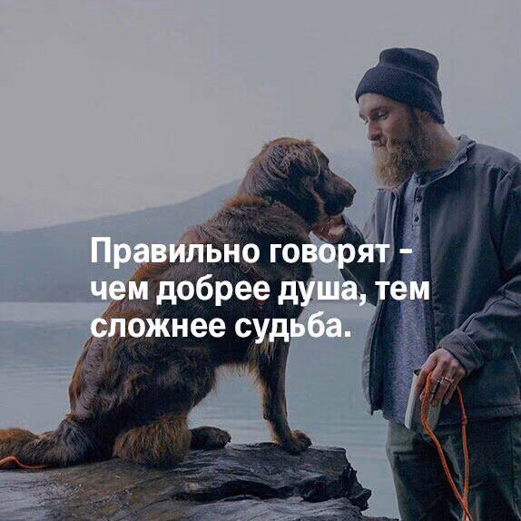 fe443c6ad6bcca3ed2dbad92daaa02f4.jpg