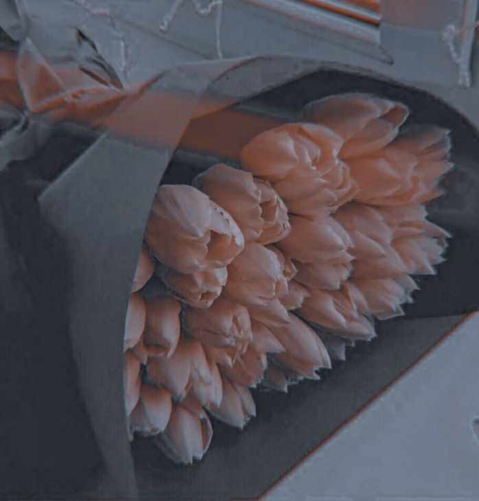 fe4e8bdefc82aca7b02e57ab91bbf9c5.jpg
