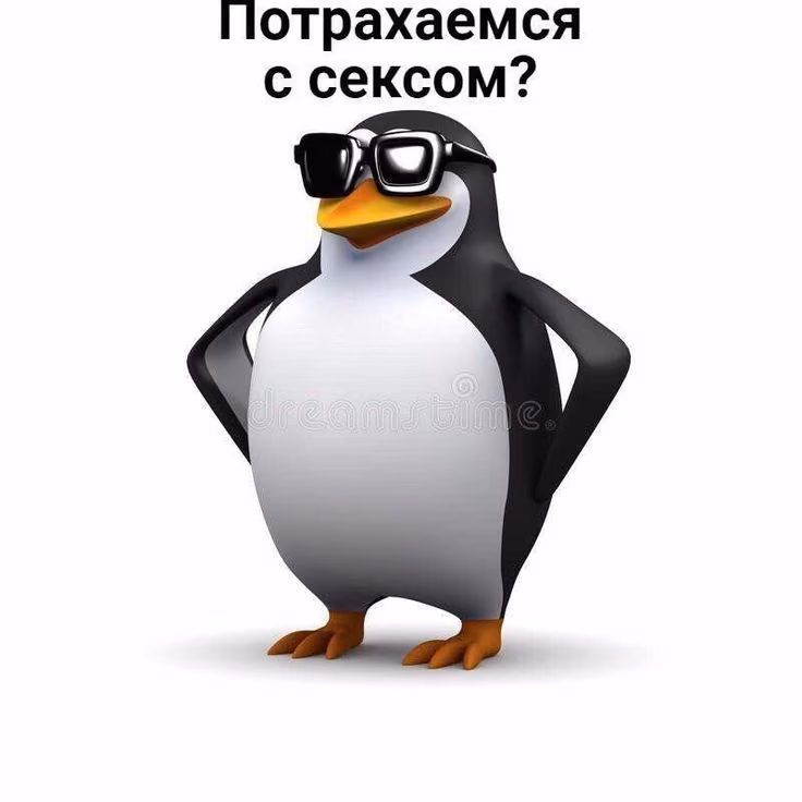 fe5115ac4447071e03b2846c9d2fb924.avif