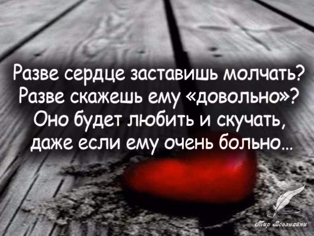 fe63396ff563613d13c2a26f04084809.avif