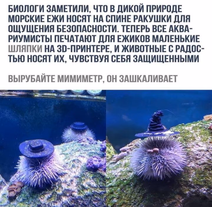 fe65c570e53b0d94ab33ce3d71c4cb8d.avif