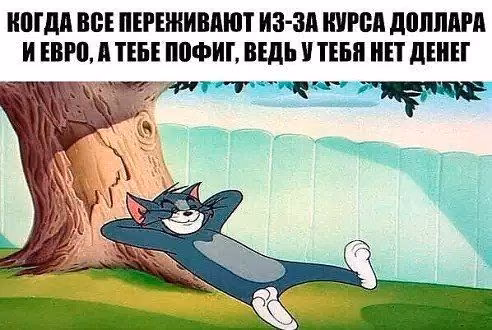 fe6f679f4062ef1c9b8c4809fd8a673a.avif