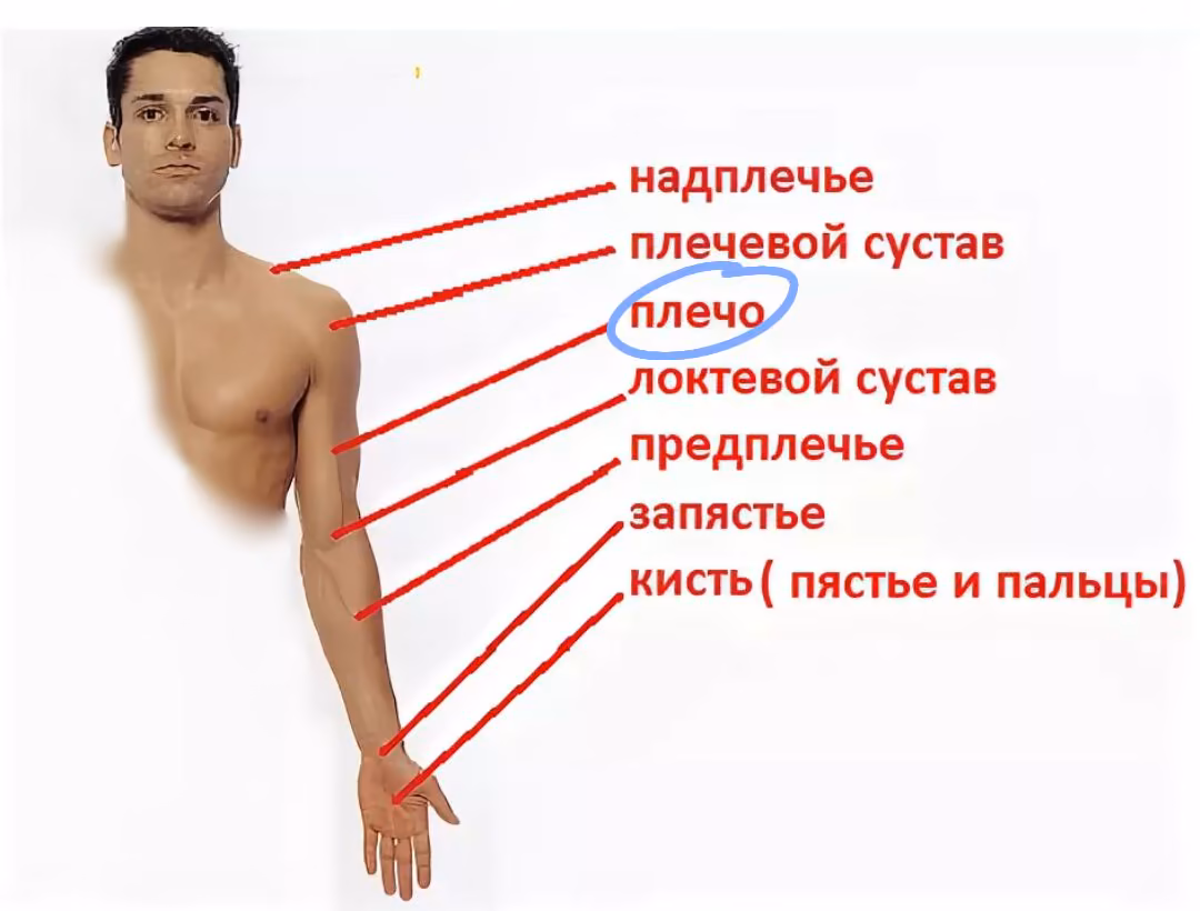 fe6f6d146e2371cff81f76ca31132e4c.avif