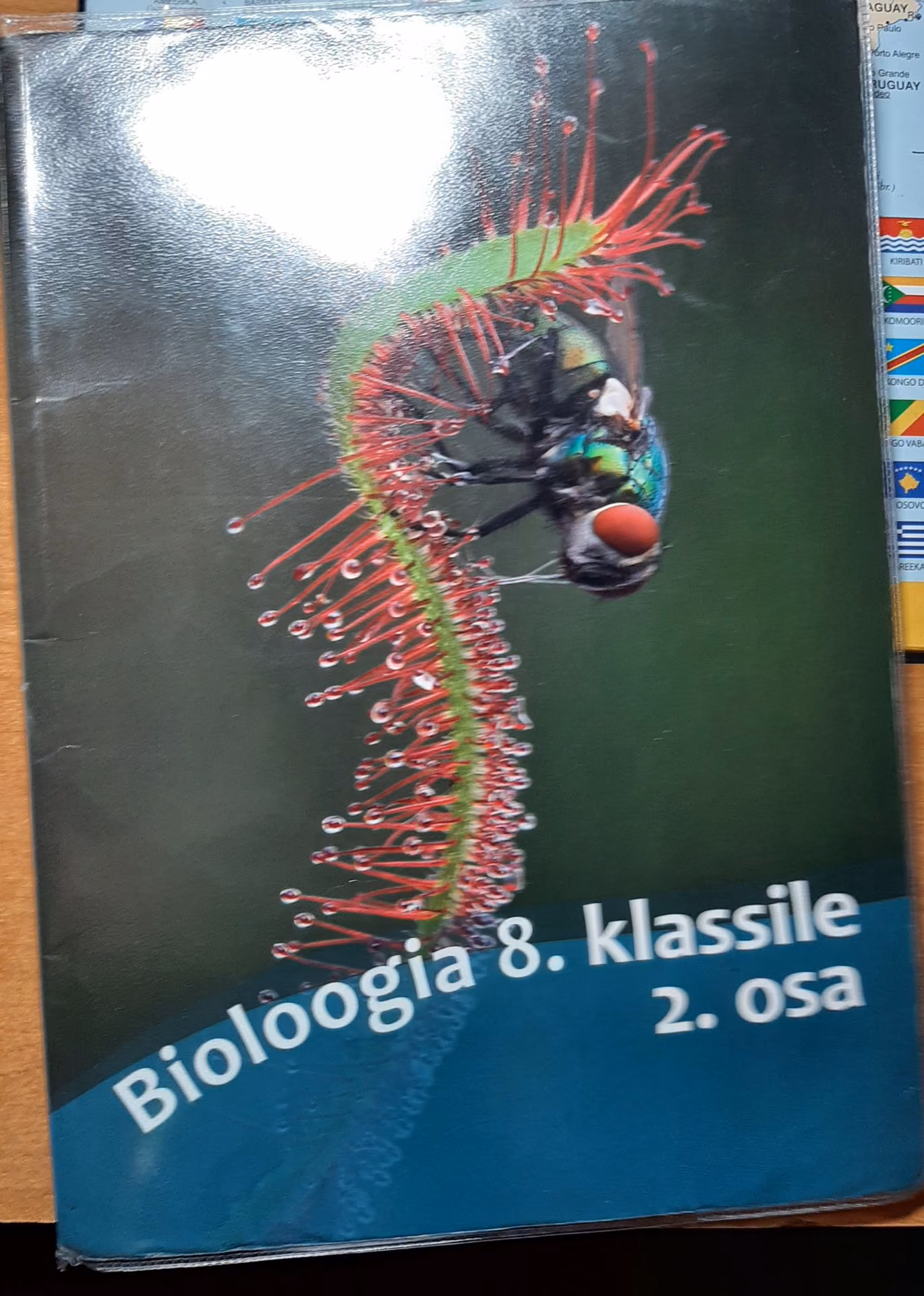 fe77cab6e3474a66f73b62396443faaa.jpg