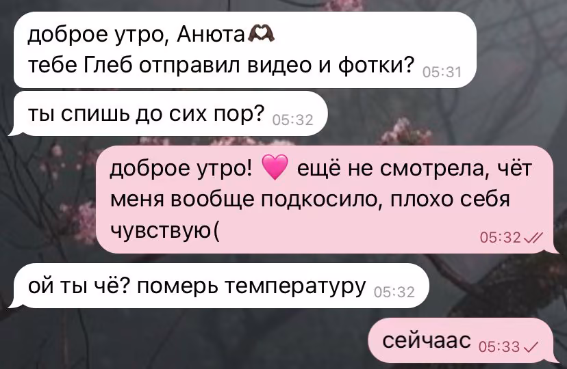 fe795a291b5174ed7f290920344b8dbb.avif