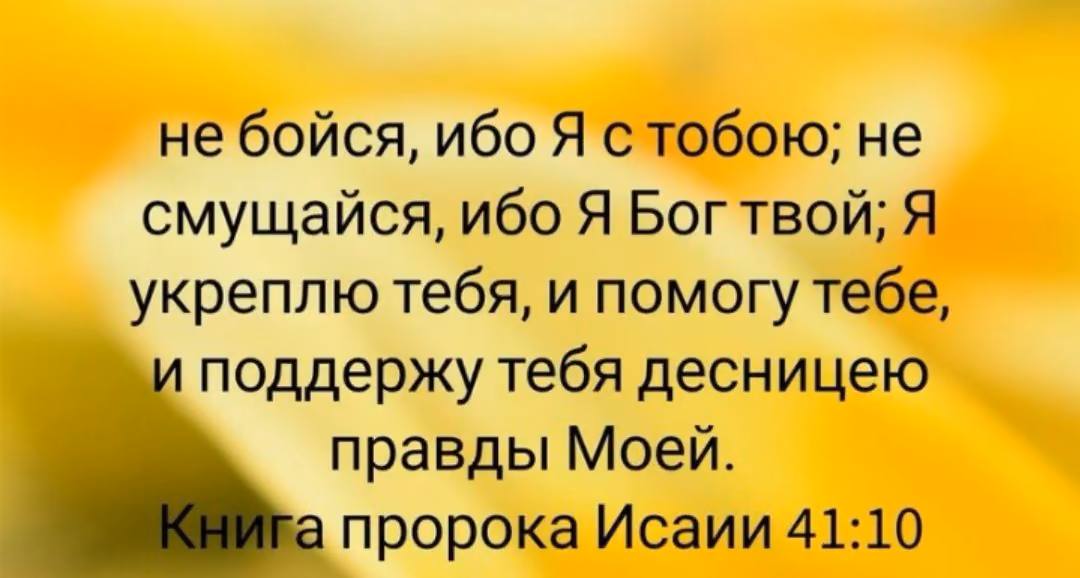 fe79eb97c522e7349e2b61e89c288869.jpg