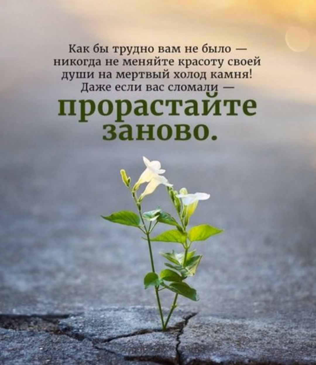 fe7bba37629be5347f4e5dfa1cafe106.jpg