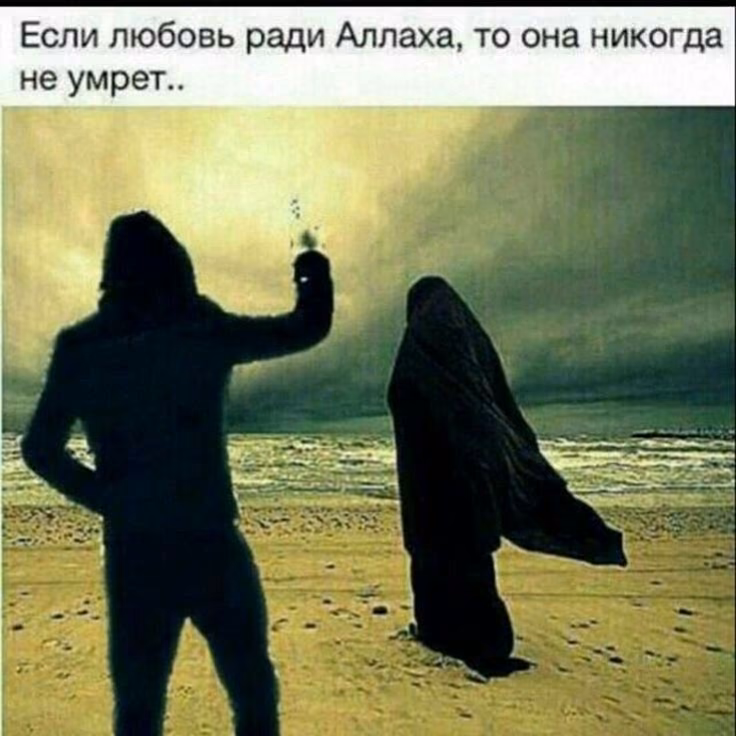 fe7d3a550fdc91297dc9990e9e1becb6.jpg