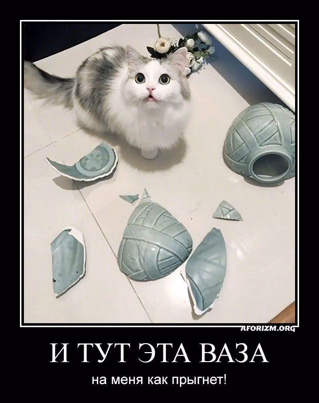 fe8a395808263e4bc7891723e5f0eb3e.jpg