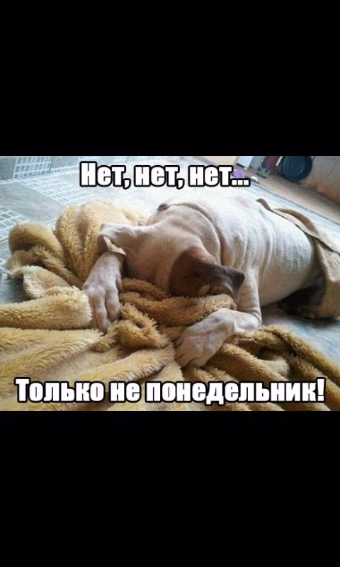 fe9af016bf0b9a04462fd90548a11dce.avif