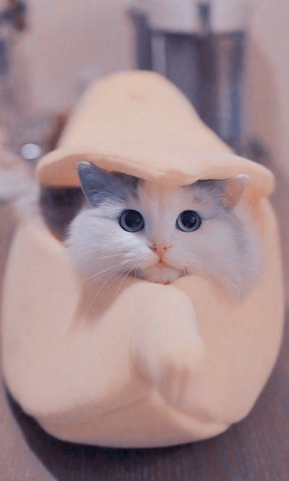 feaa3f0ef94f8c3719903a0c87dd077e.jpg