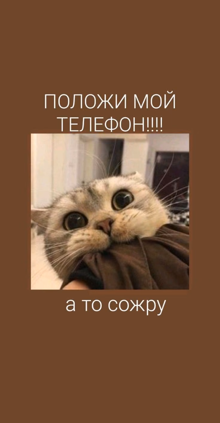 fec3cb2b63f5dd9a8f0b5d44e03a48b5.jpg