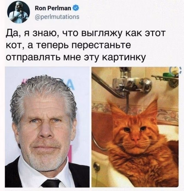 d42d20c34154ce648e9ee00d83416306.jpg