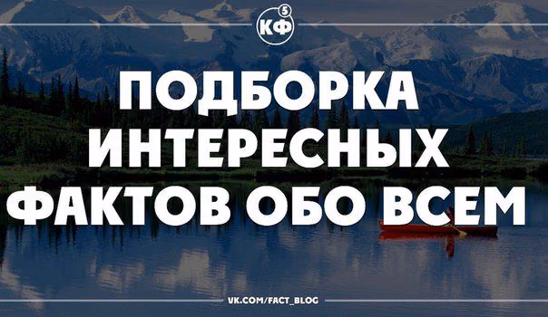 fee187038d9349a3900f1e1cedfdce30.avif