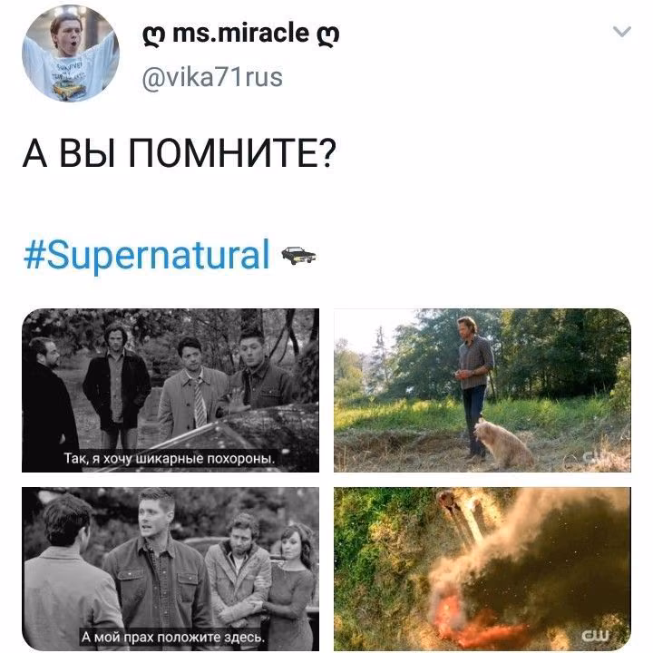 fee333d7b7e53019710f6922691b3db0.avif
