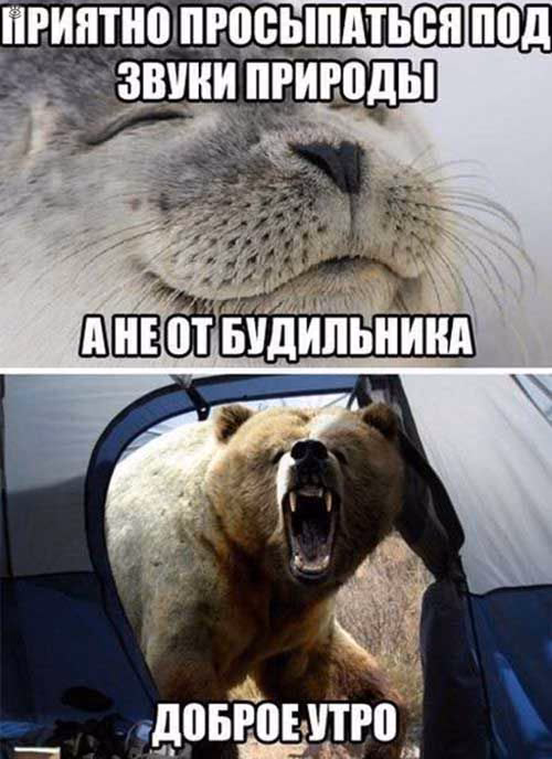 fee385787f361eb350cc696f01176853.avif