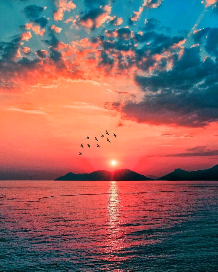 fee541c24644a4586a735d69c67f34e7.avif
