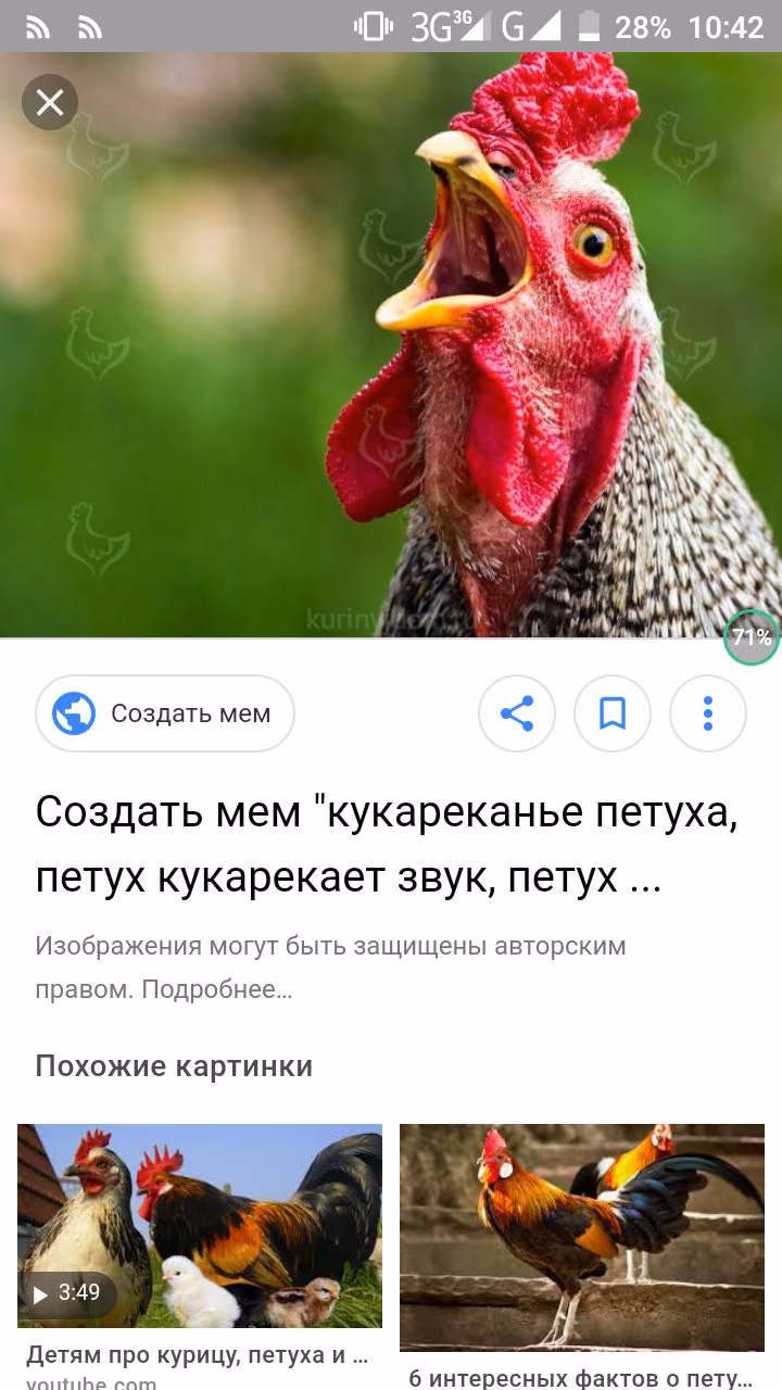 fee6c9757552df4d74f6cb13585cde2e.avif