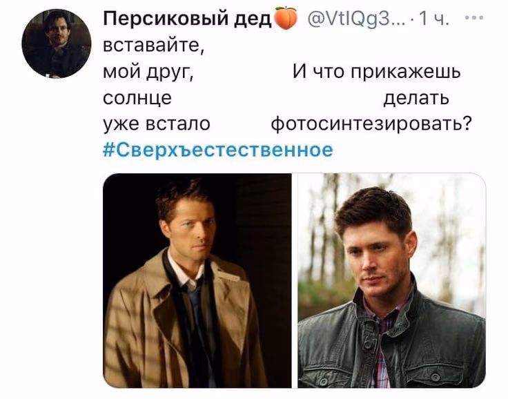fef956fa821fe0f1ff9a9455d6444998.avif
