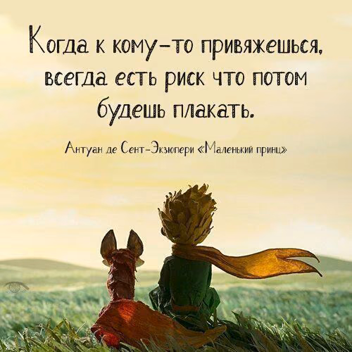 feffce26bacf760a3e8c5904f79627af.jpg