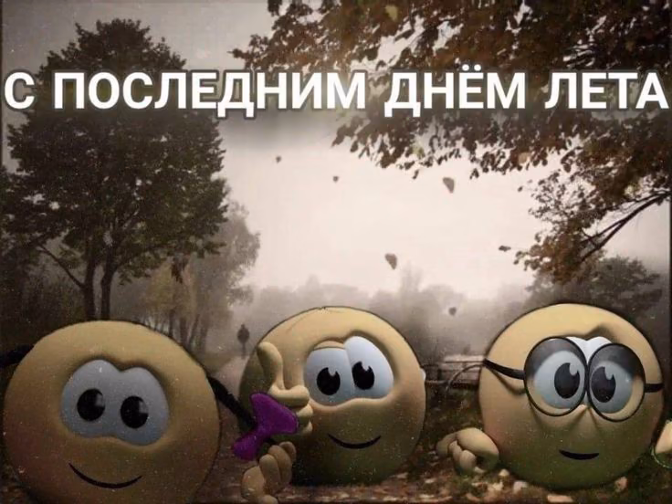 ff09be9d8a4ea952999bf935ed61f25b.jpg