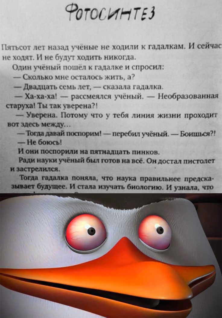 ff232db2c30bd2217a172f2855afbfc2.jpg
