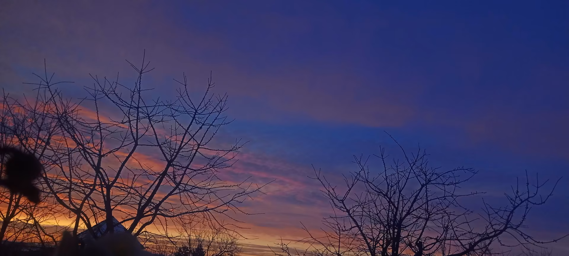 ff55bab650f7ff5b2f02fb5c8f0b5a3a.avif