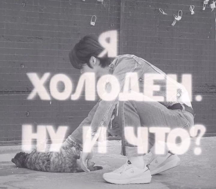 ff5f08929df4a383b6c65616a7ffd5a1.avif