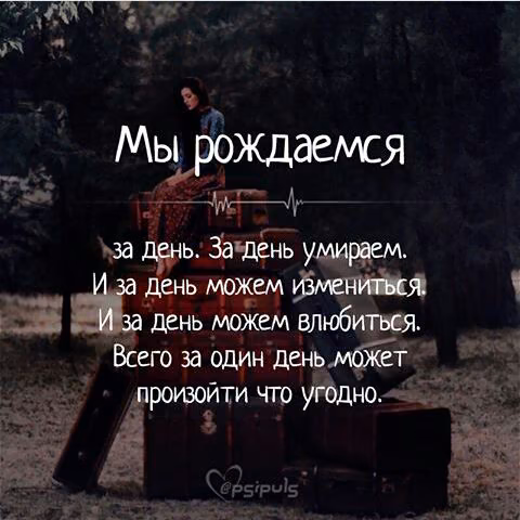 ff65c095cd74802b5a7227a3bb050792.jpg