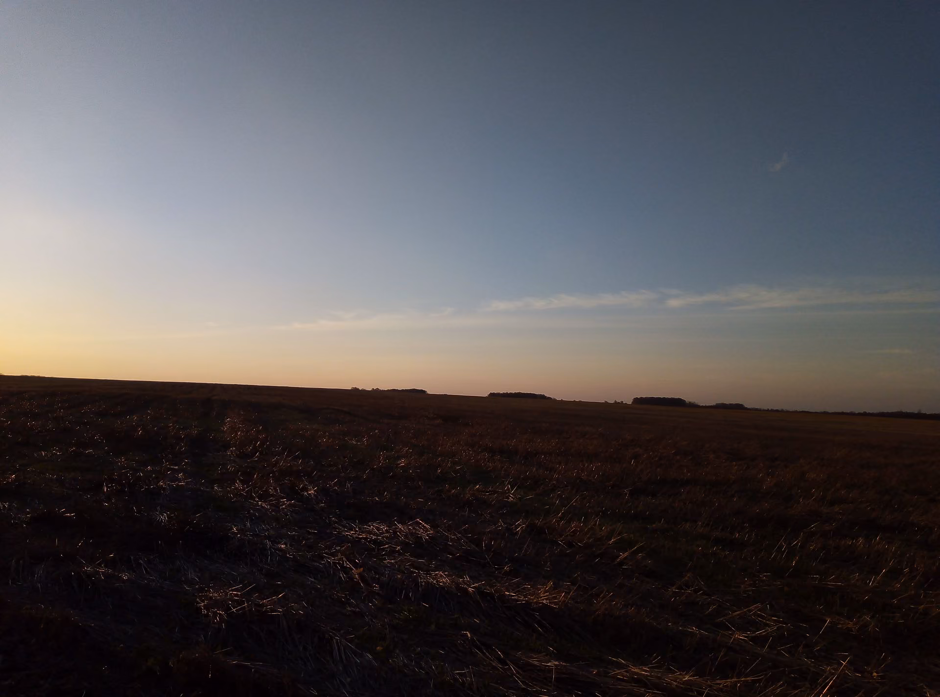 ff998a17cba743d2bdff0ca19a6dc776.jpg