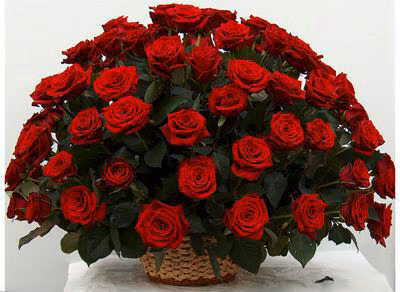 ffa7a10d0b17fb0a52bd2fe62a094278.avif
