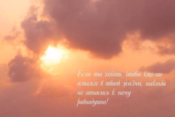 ffb1bc21631ef994929552abcbfd2470.jpg