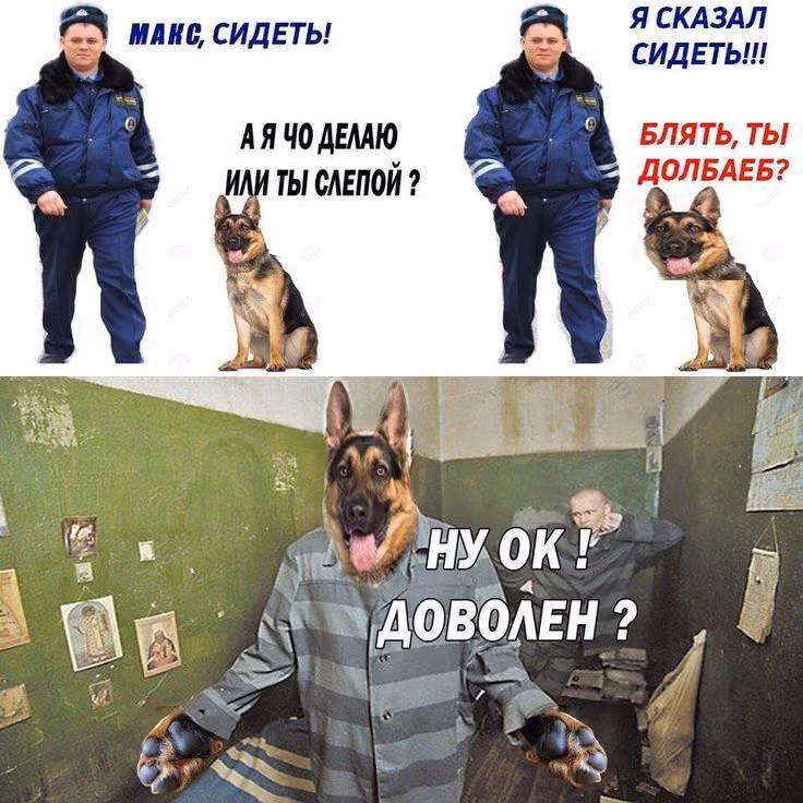 ffccc8c72a082a7f625604c1ac382917.jpg