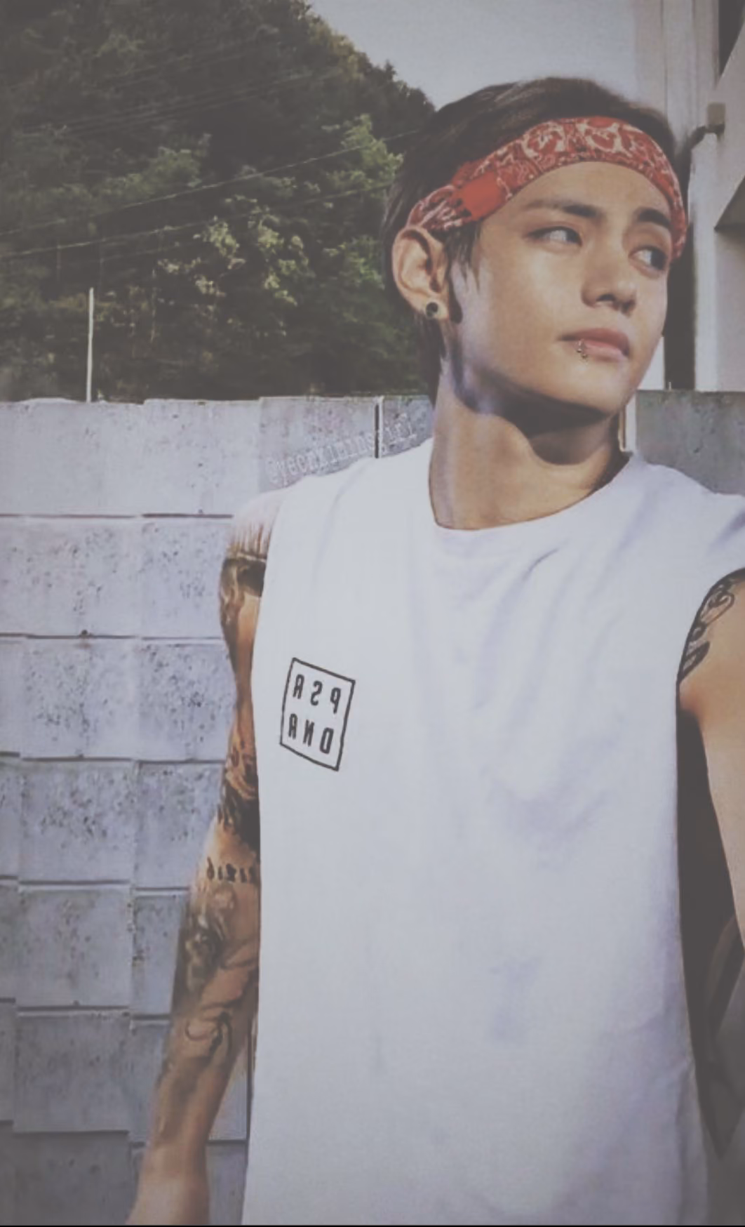 fff02d2a27ce87827b16d843b4e3b60a.jpg