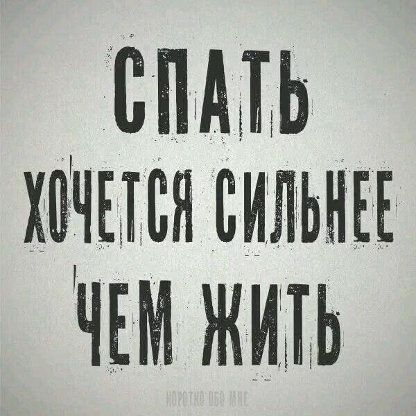 fff9e886b5a869cea0dc3dc410f3968e.avif