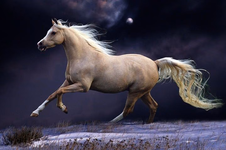 fffb4cc6e99252c6e88c25748cc84e00.avif